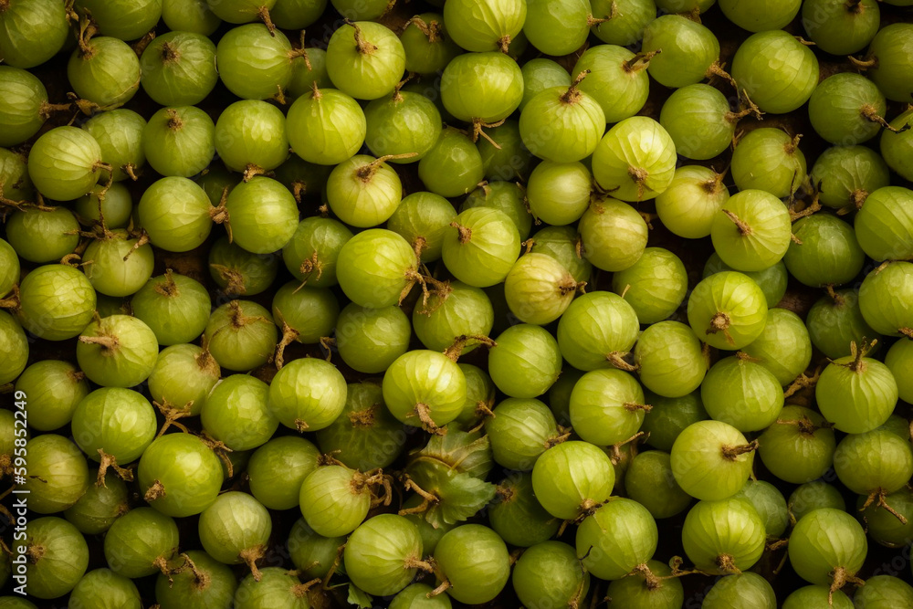 Viele Stachelbeeren auf einem Haufen mit nahtlosem Hintergrund Viele Stachelbeeren auf einem Haufen mit nahtlosem Hintergrund