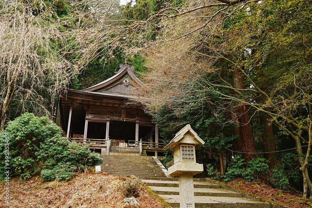 Entrance gate or Torii at Kinpu-jinja or Shrine on mount Yoshino in Nara Prefecture, Japan - 日本 奈良 吉野山 金峯神社 鳥居 Entrance gate or Torii at Kinpu-jinja or Shrine on mount Yoshino in Nara Prefecture, Japan - 日本 奈良 吉野山 金峯神社 鳥居