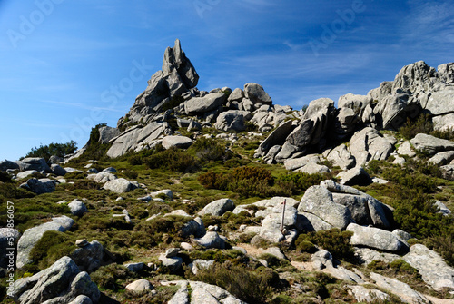 Le cime granitiche del Monte Limbara photo