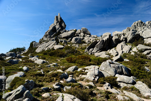 Foto Le cime granitiche del Monte Limbara