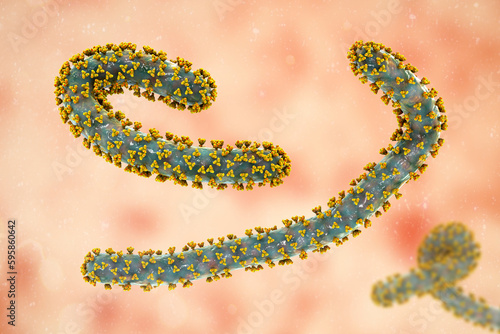 A skin rash on the chest of a patient with Marburg hemorrhagic fever, 3D illustration