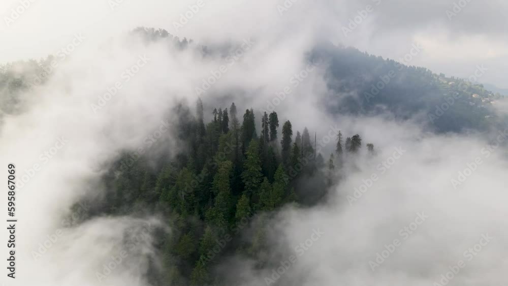 Cloud-Covered Canopy: A Breathtaking Drone View of Misty Mountain Trees Cloud-Covered Canopy: A Breathtaking Drone View of Misty Mountain Trees