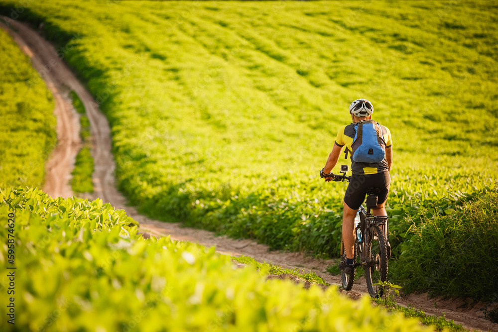 Fototapeta premium Young cyclist cycling in the spring meadow