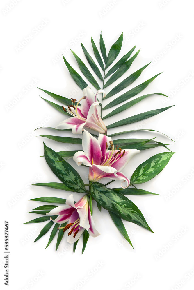 Obraz premium Pink white flowers lilies, tropical palm leaf and dieffenbachia, on white background with space for text. Top view, flat lay