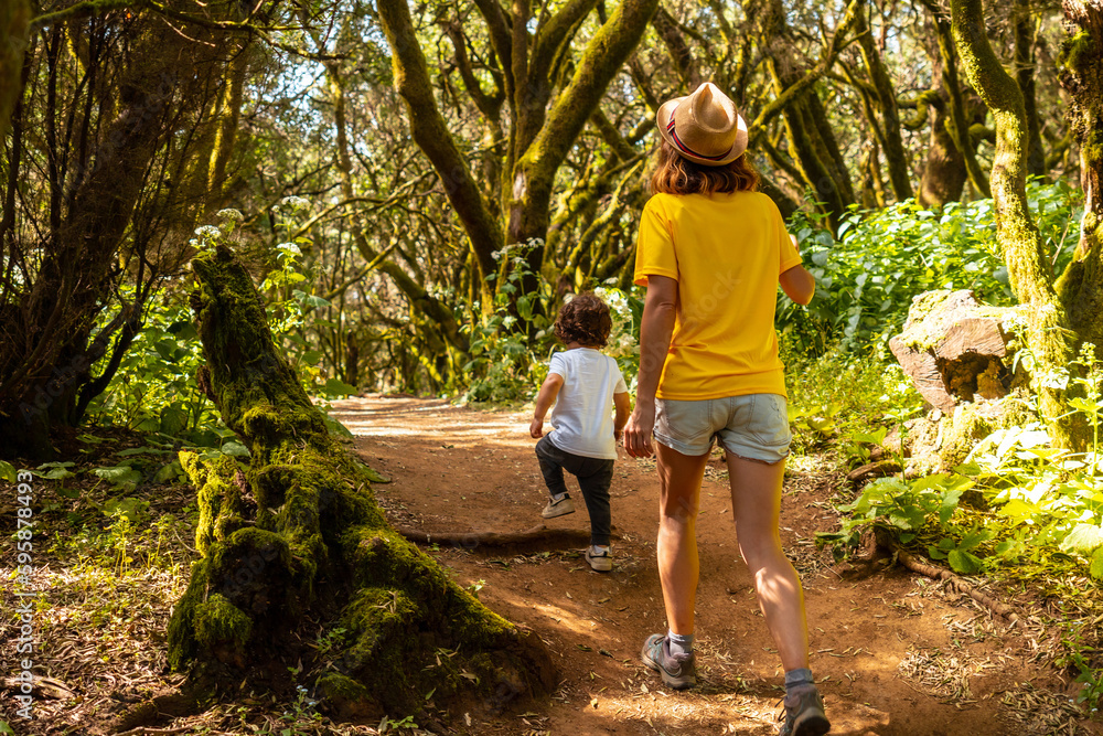 Mother and son walking in La Llania on El Hierro, Canary Islands. On a path of laurel from El Hierro in a lush green landscape Mother and son walking in La Llania on El Hierro, Canary Islands. On a path of laurel from El Hierro in a lush green landscape