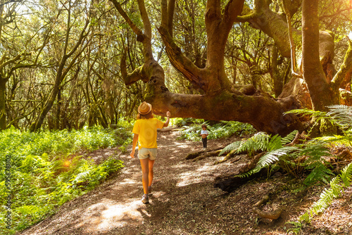 Boy walking in the natural park of La Llania in El Hierro at sunset, Canary Islands. Laurel forest path in a lush green landscape photo