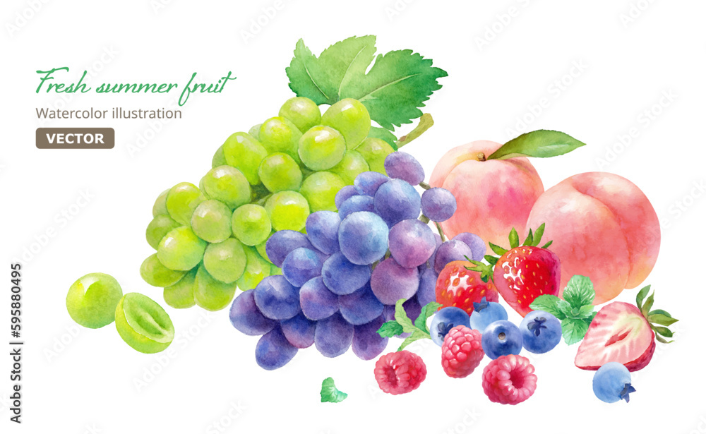 夏の果物の盛り合わせの水彩イラスト。3種のベリー（ラズベリー、ストロベリー、ブルーベリー）と桃、葡萄、マスカット。 （ベクター。レイアウト変更可能）