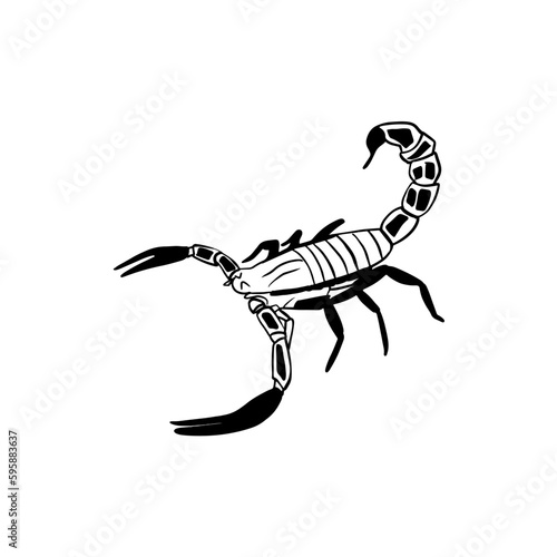 Vector sketch hand drawn silhouette of a scorpion, doodle art with black line