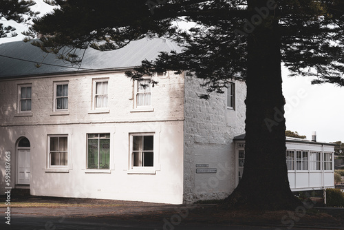 rural victorian building with old tree photo