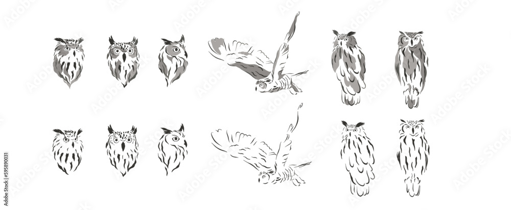 forrest animal wallpaper art leaf wild nature wreath owl