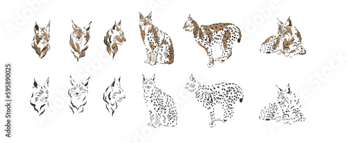 forrest animal wallpaper art leaf wild nature wreath lynx