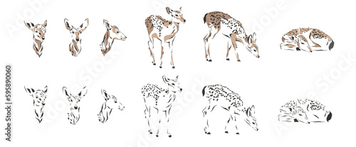forrest animal wallpaper art leaf wild nature wreath deer