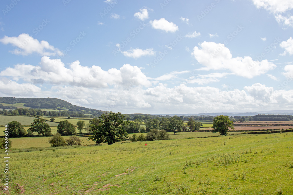 Summertime rural landscape in the UK.