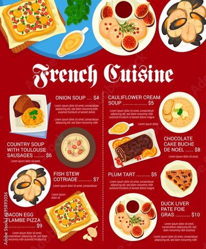 French cuisine menu with food of France, gourmet dinner and plate dishes, vector. French cuisine and Paris restaurant meals, stew and foie gras duck liver, onion soup and chocolate cake buche de noel