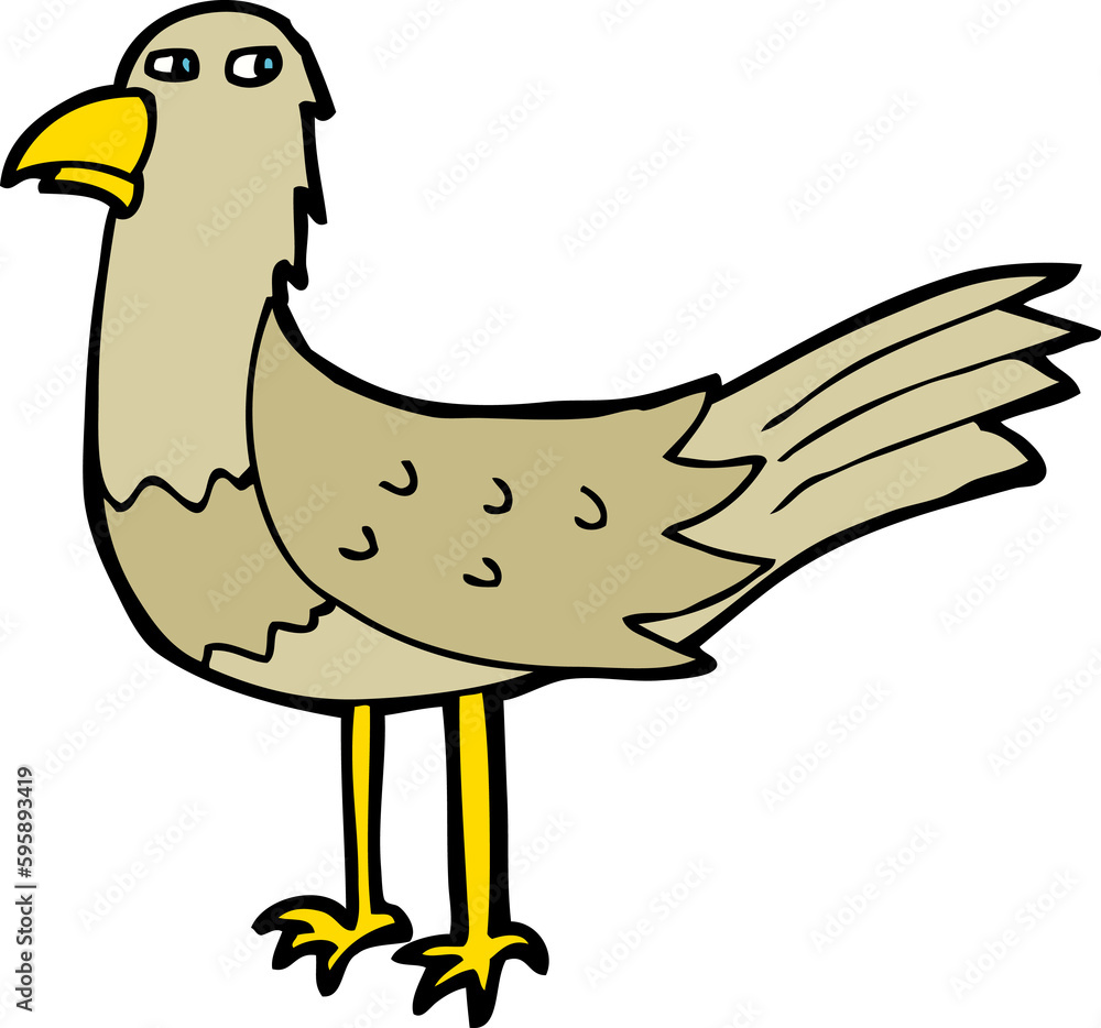 cartoon bird cartoon bird