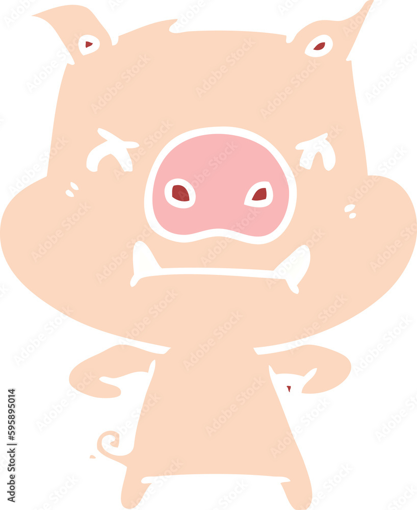 angry flat color style cartoon pig angry flat color style cartoon pig