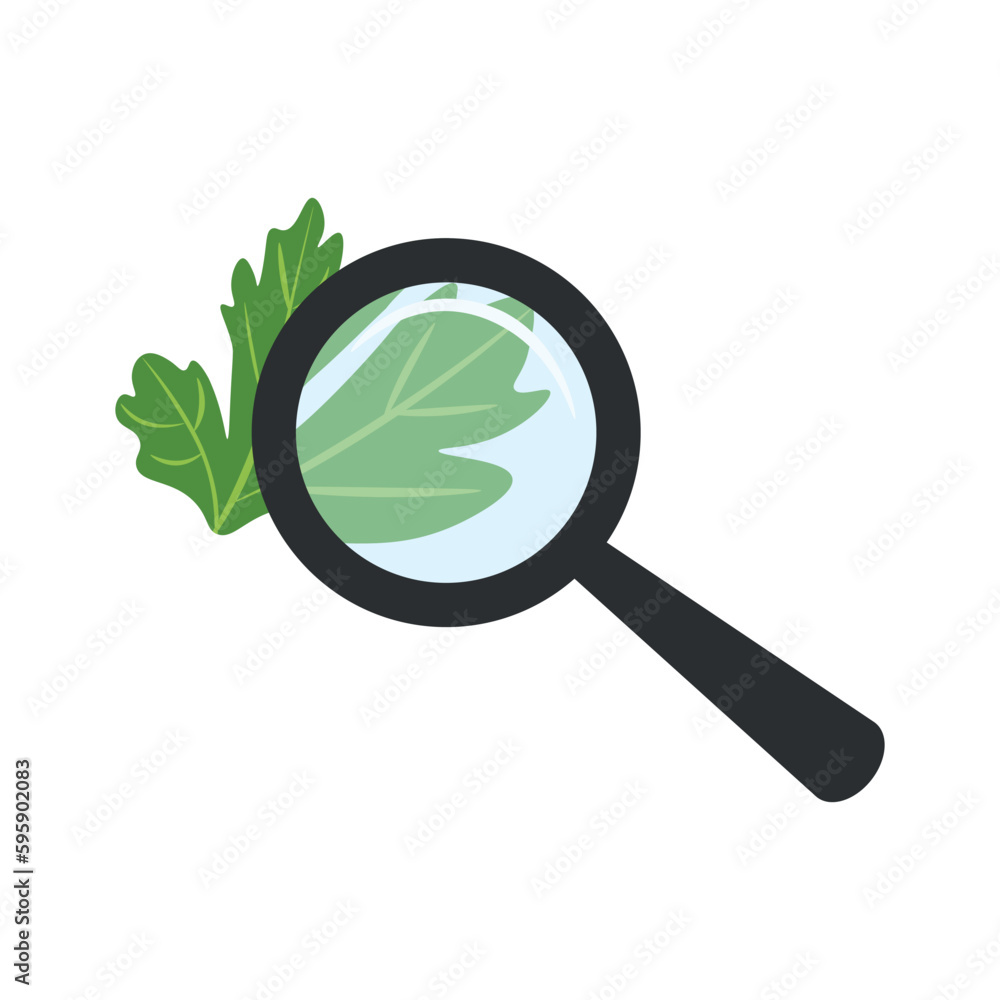 Parsley with magnifying glass. Checking parsley with a magnifying glass. Analyzing food with a magnifying glass during quality control. Food analysis concept Parsley with magnifying glass. Checking parsley with a magnifying glass. Analyzing food with a magnifying glass during quality control. Food analysis concept