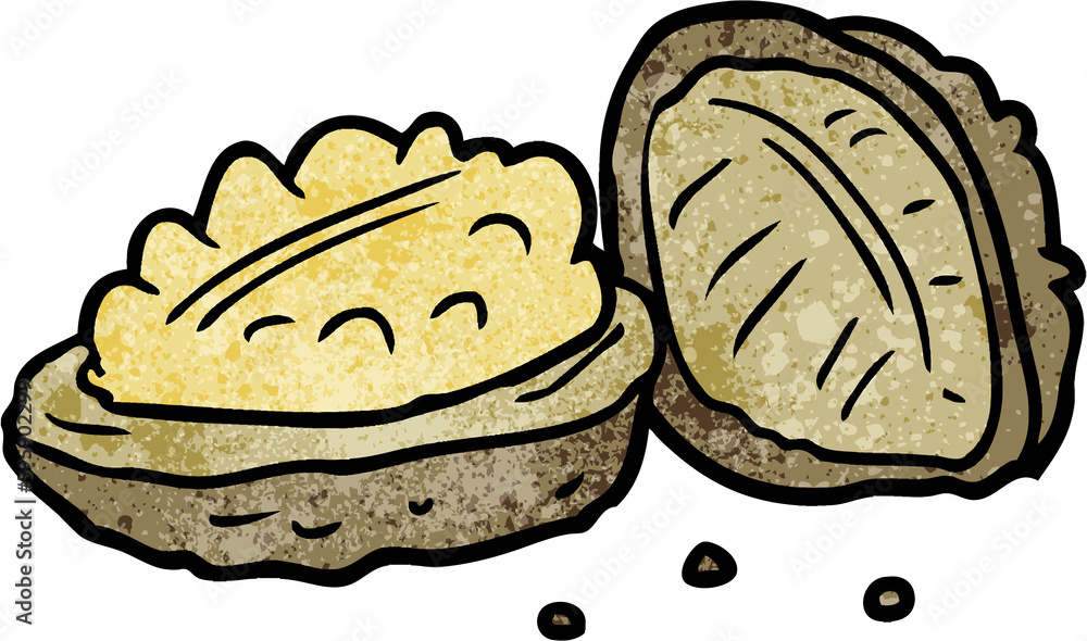 cartoon walnuts cartoon walnuts