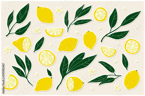 Lemon sticker set. Hand-drawn lemons on a beige background. Slice, halves, whole fruit, leaves, flowers, seeds. Cartoon citrus tropical collection. Healthy food sign. Vector botanical illustration