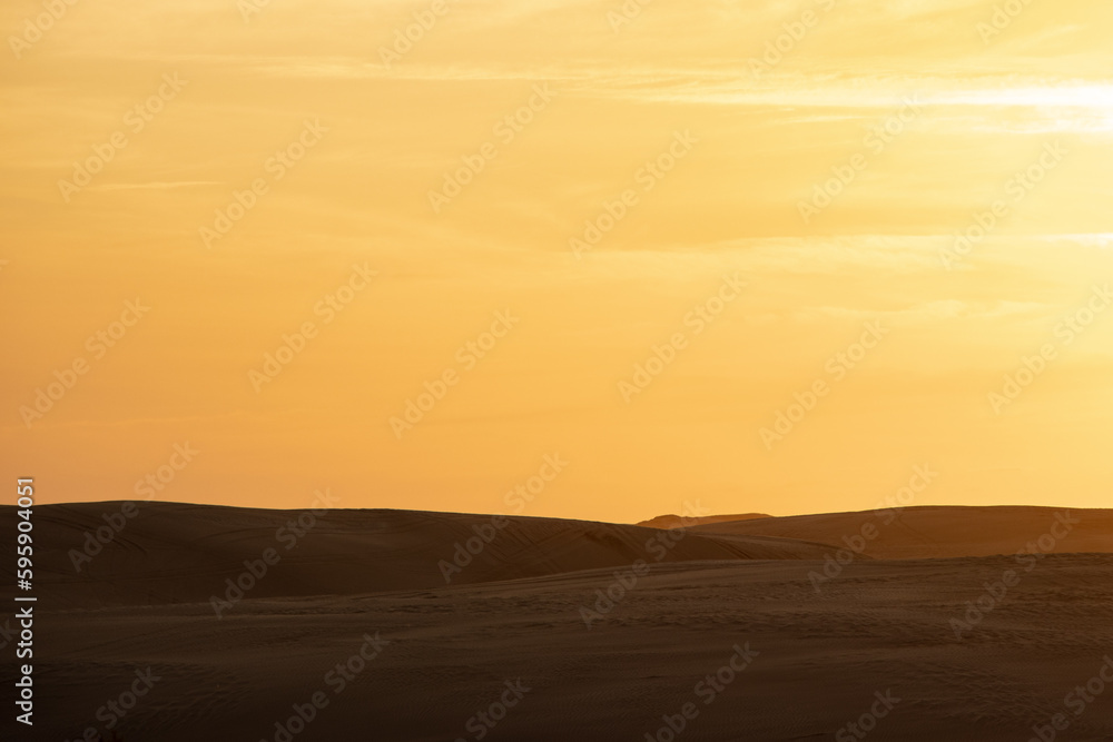 Golden desert Golden desert