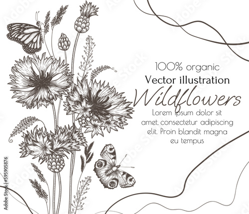 Vector illustration of a bouquet of wildflowers cornflowers and butterflies in the style of engraving