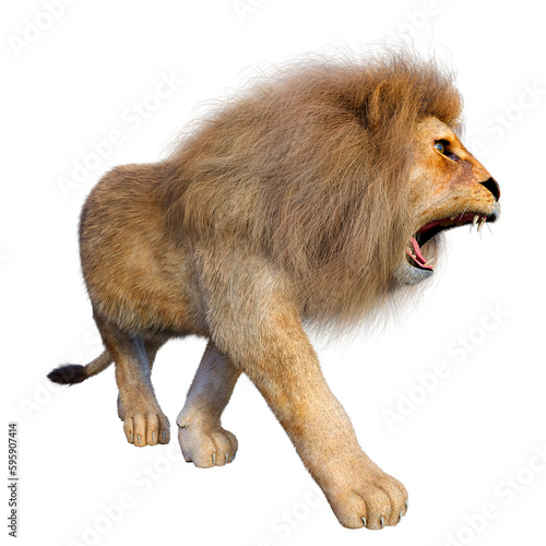 3D Rendering Male Lion on White © photosvac
