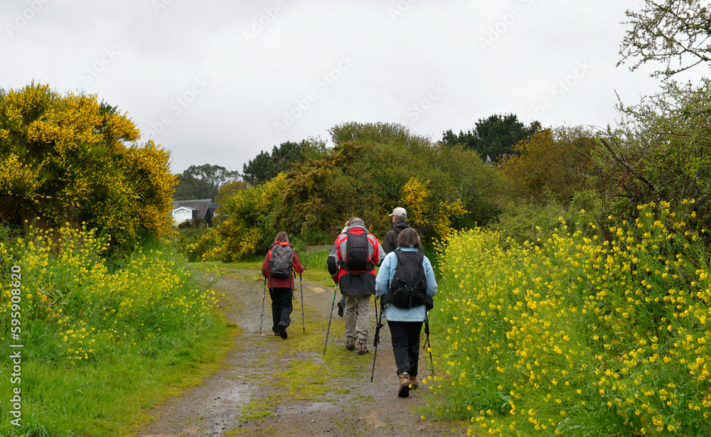 Groupe de randonneurs séniors sur le GR34 en Bretagne - France