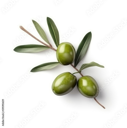 Olive twig with several olives
