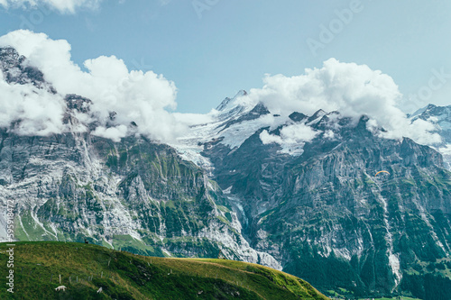 Summer mountain landscape with green grass and mountain peaks.