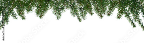 border of isolated green christmas tree branches at the edge on transparent background with sparkling white snowflakes, overlay decoration texture spruce