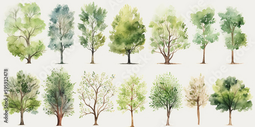 watercolor tree collection. Set of hand drawn trees. forest tree pack. ai generative