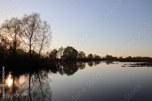 Reflections of trees in the water mirror of the Staritsa River. Completion of the spring flood of the river.