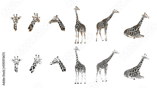 Giraffe vector safari africa animal in diferent style 