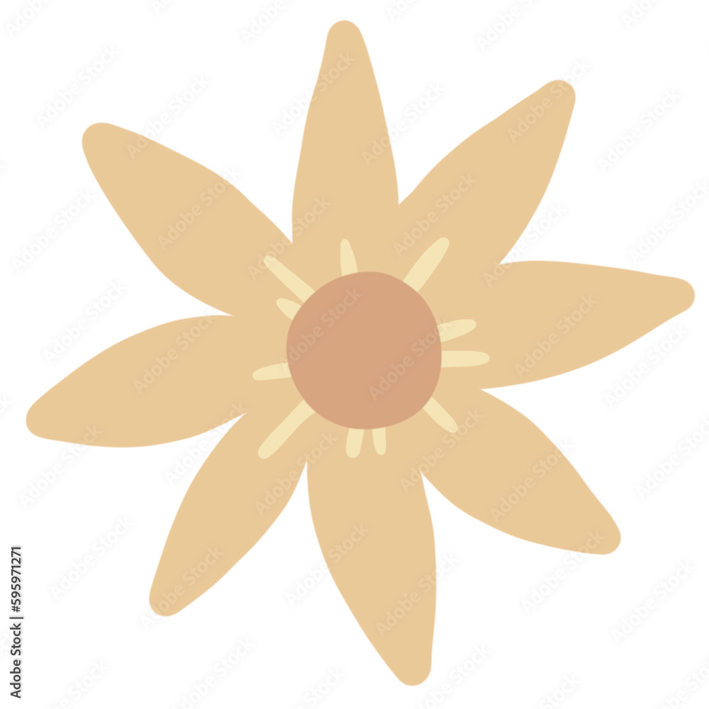 Tiny Flower Little Floral Nature Tiny Flower Little Floral Nature