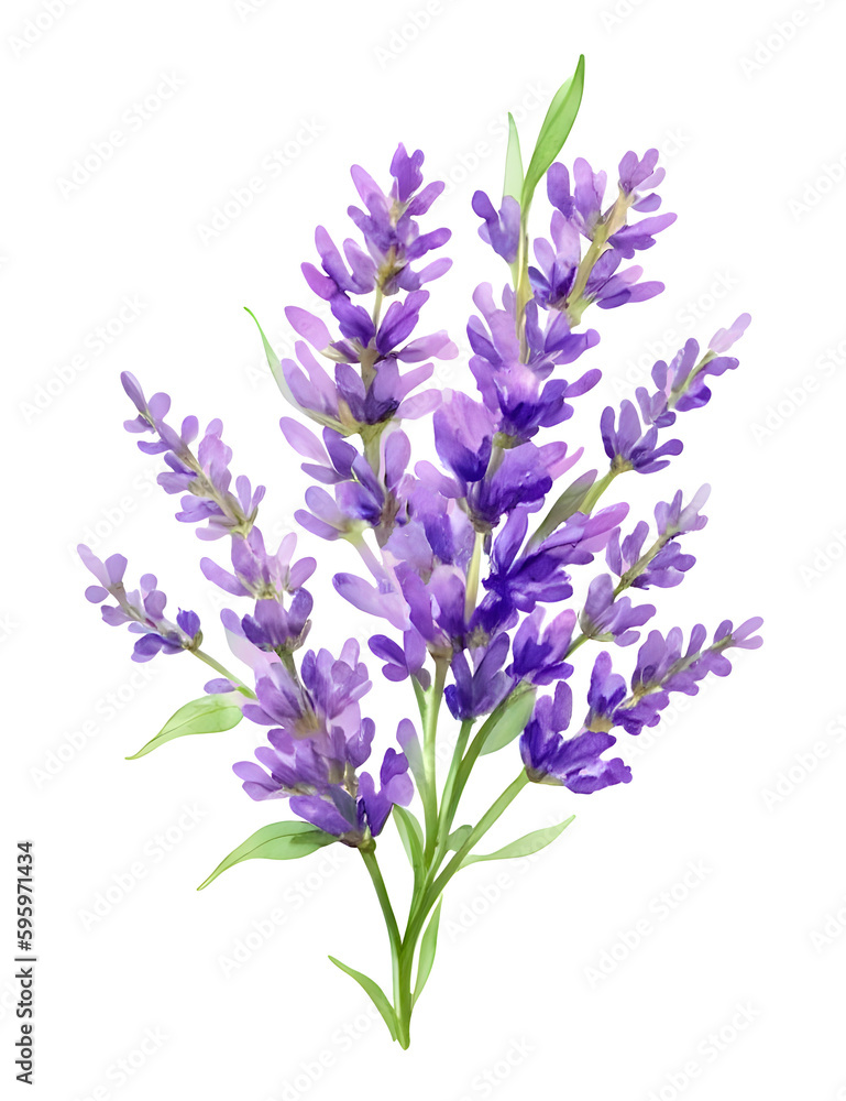 bouquet of flowers on transparent background, print-ready t-shirt design, generative ai bouquet of flowers on transparent background, print-ready t-shirt design, generative ai