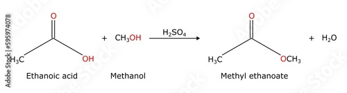 Dehydration reaction between ethanoic acid (carboxylic acid) and methanol (alcohol) to give methyl ethanoate esterfication of acetic acid and methyl alcohol Methyl acetate organic chemistry chemical photo