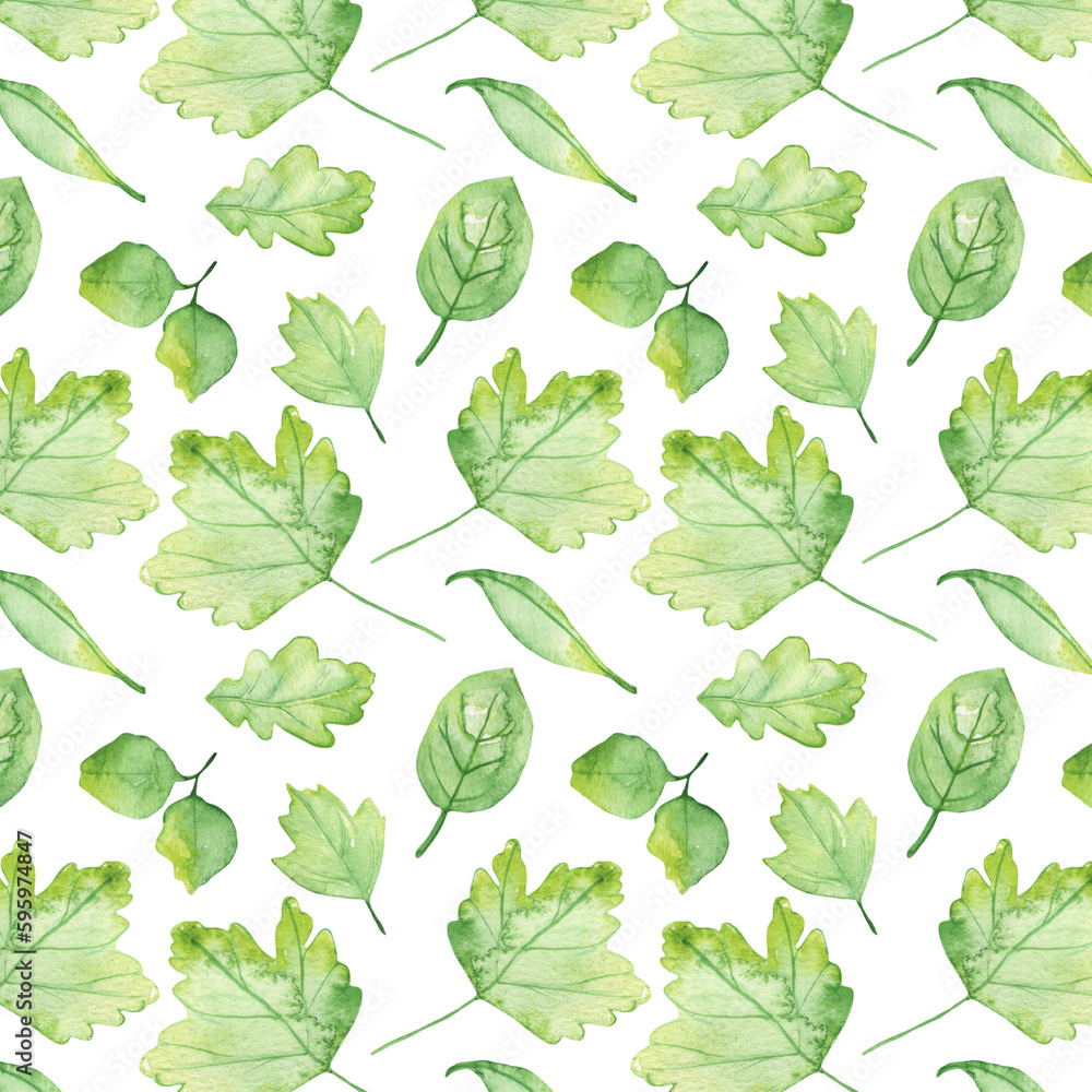Pattern of watercolor green leaves elements.Botanical pattern solated on white background suitable for Wedding Invitation, save the date, thank you, or greeting card. Pattern of watercolor green leaves elements.Botanical pattern solated on white background suitable for Wedding Invitation, save the date, thank you, or greeting card.