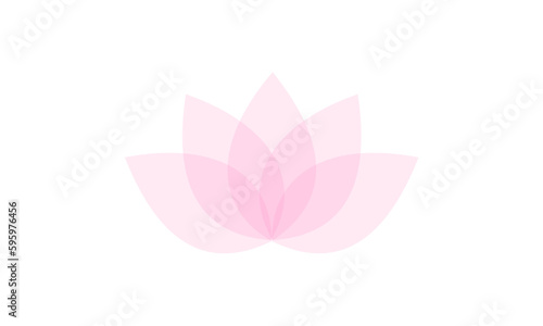 pink lotus flower