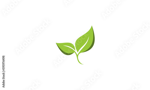 green plant isolated on white © Nair
