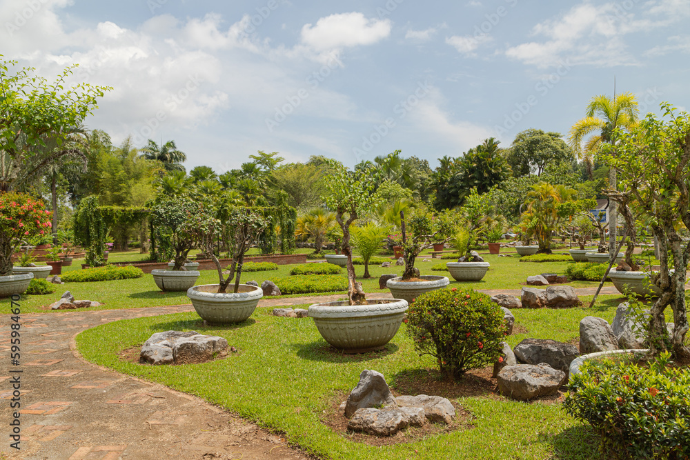 Palm collection in сity park in Kuching, Malaysia, tropical garden with large trees and lawns, stone composition, rockery.