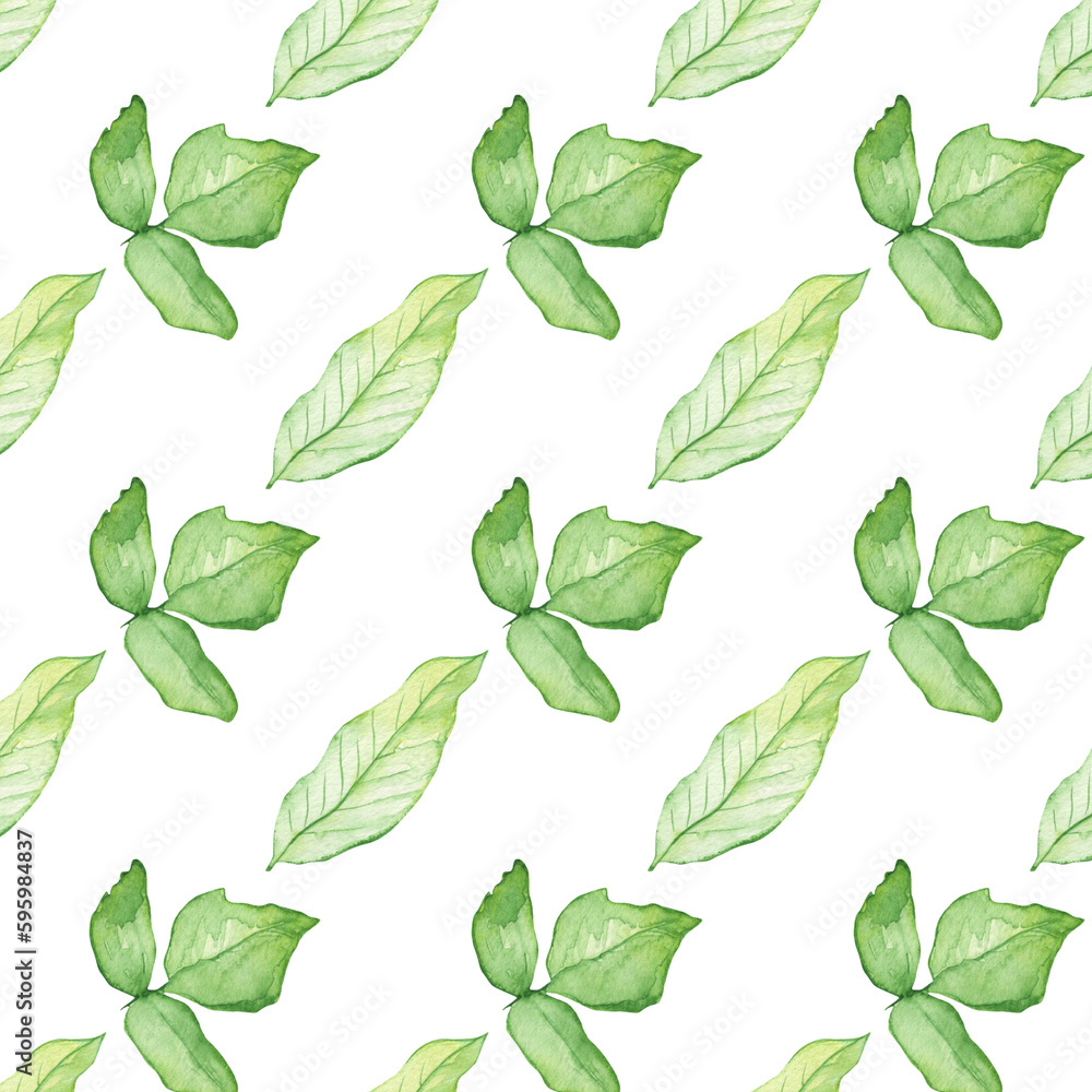 Fototapeta premium Pattern of watercolor green leaves elements.Botanical pattern solated on white background suitable for Wedding Invitation, save the date, thank you, or greeting card.