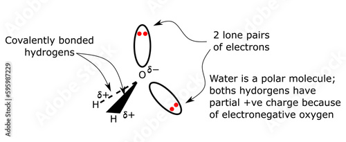 chemical structure of water molecule h2o tetrahedral tetrahedron bend structure bond angle lone pair electrons oxygen hydrogen