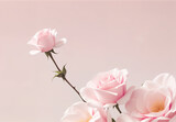 greeting pink roses flower composition assorted roses petals on gentle pink background, Minimal composition. Generative AI