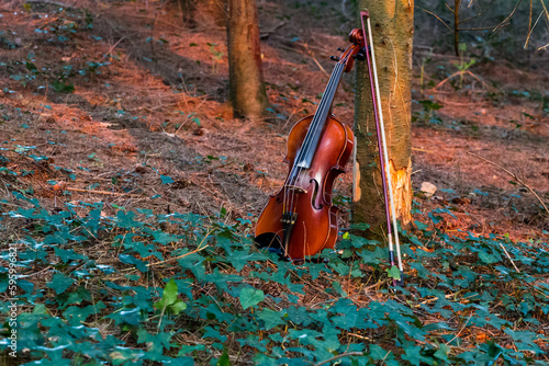 Violon photo