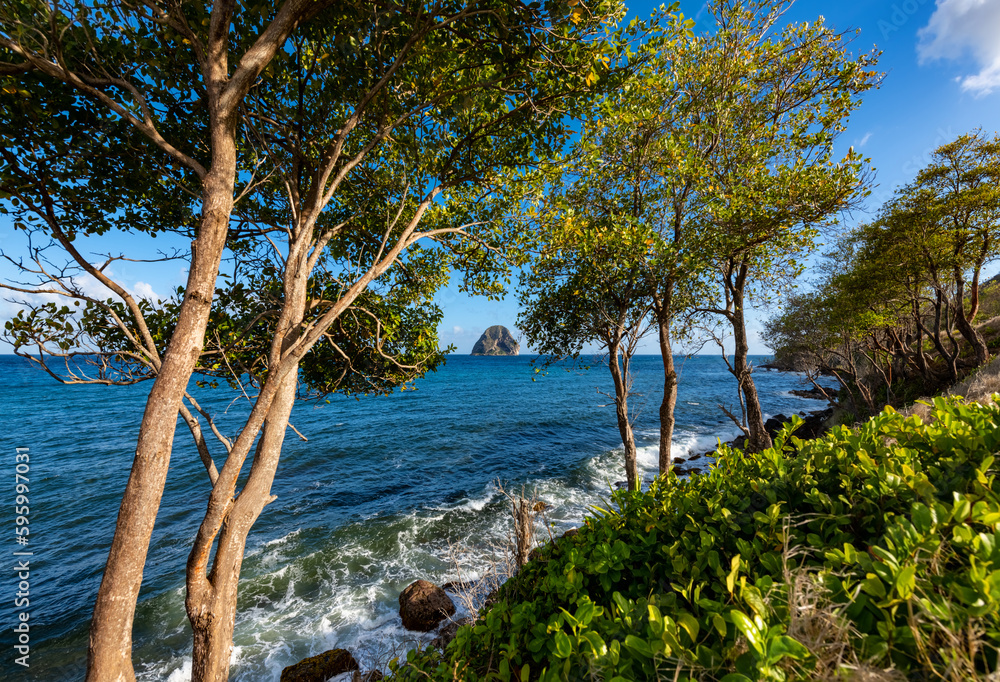 Coastline panorama of Martinique island (France) in Caribbean sea with iconic volcanic rock island “Le Diamant“, breaking waves and trees. Idyllic tropical scenery near “Anse d’Arlet“, touristic site.