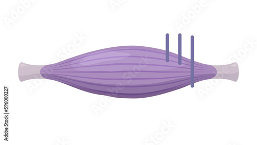 不健康な筋肉のイラスト