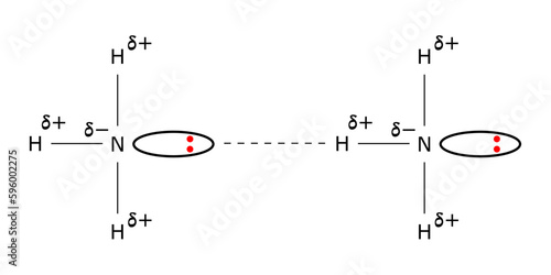 hydrogen bonding ammonia nitrogen lone pair electron partial positive negative charge h bond chemical structure chemistry