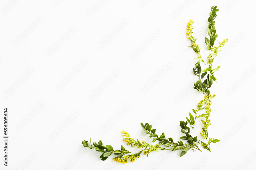 frame of yellow flowers and green leaves with place for text. simple flat lay frame of yellow flowers and green leaves with place for text. simple flat lay