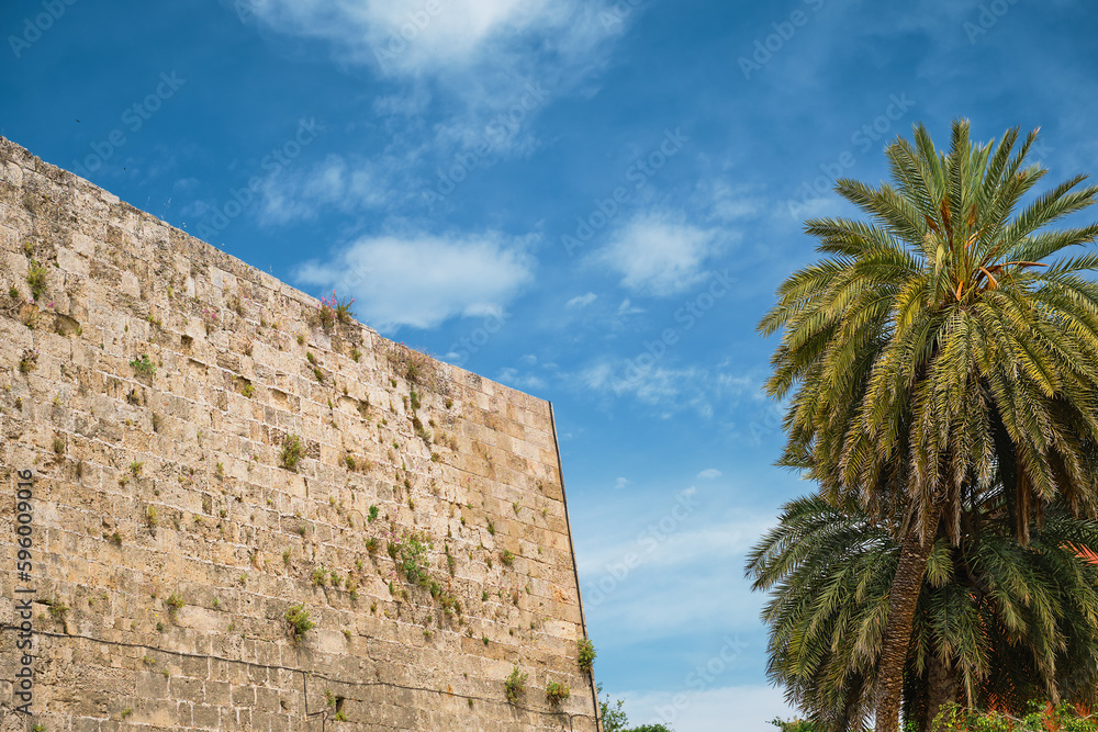 Fortress wall and palm trees on the street in the old shopping center of Rhodes, island of Rhodes, the Greek islands of the Dodecanese archipelago, holidays in Europe and popular tourist destination