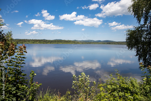 Olšina pond or lake with a blue sky with clouds in Šumava park. Summer in the nature park. Landscape